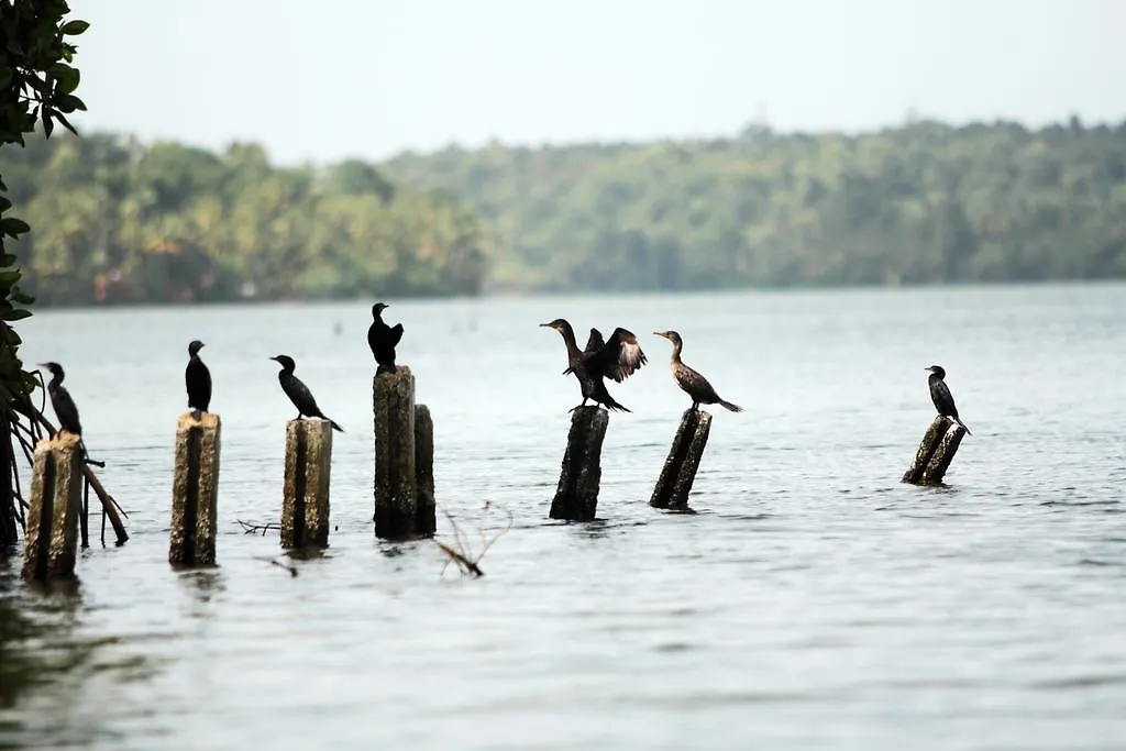 Vinis Farm - A Private Island Stay -Privacy Redefined !!! Mundrothuruth